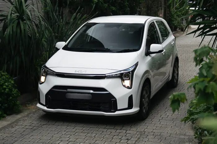 Picanto 2024 Blanc Essence